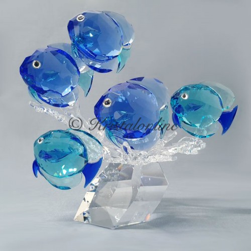 Swarovski Kristal | Crystal Paradise | School Vissen | 5493705